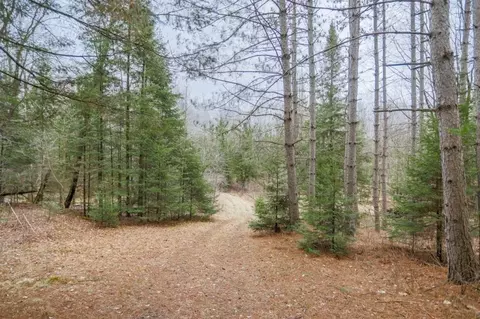 View/Area - 236841 Eau Claire River Rd, Aniwa, WI 54408 photo 4 of 5