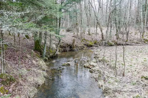 View/Area - 236841 Eau Claire River Rd, Aniwa, WI 54408 photo 5 of 5
