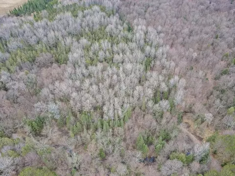 Other - 236841 Eau Claire River Rd, Aniwa, WI 54408 photo 1 of 13