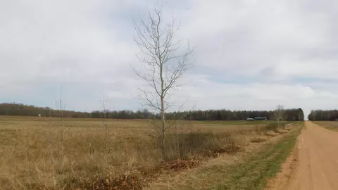 000 Mink Rd, Merrill, WI 54452