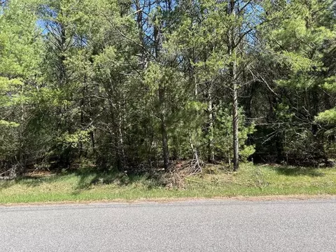 Lot 47 Dubay Pines Subdivision, Junction City, WI 54443