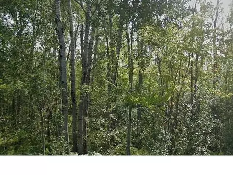 40 Ac County Road B, Oakland, WI 54874