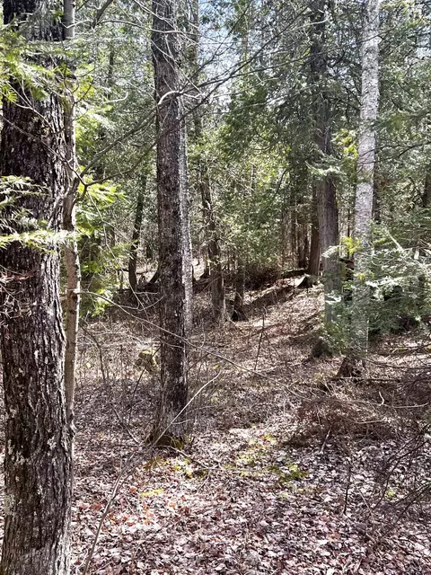 2452 Mud Creek Rd, Rhinelander, WI 54501