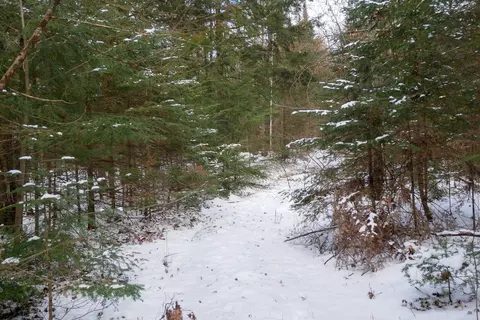 60 Acres County Road Yy, Ogema, WI 54459
