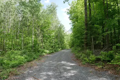W11708 Spruce Lake Road, Withee, WI 54498