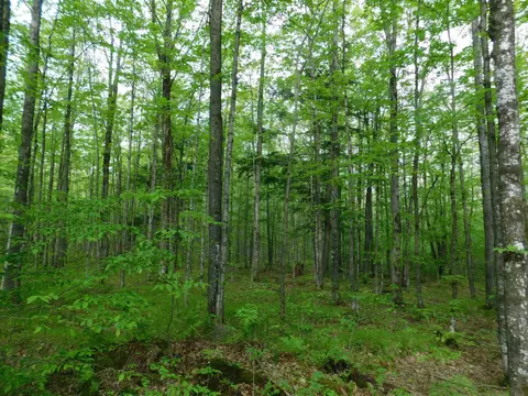 N5510 County Road E, Merrill, WI 54452