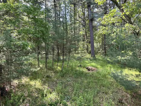 n3948 Deer Path, Hancock, WI 54943 photo 33