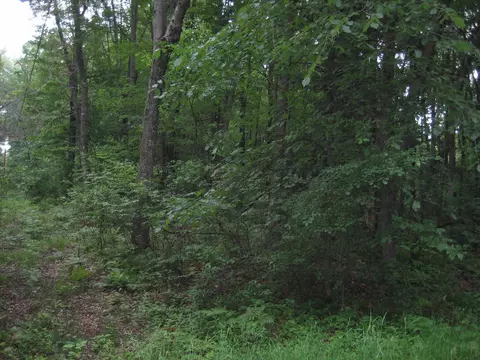 lot4 Algoma St, Stevens Point, WI 54482