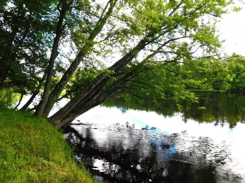 Lot 3 Sunshine Road, Merrill, WI 54452