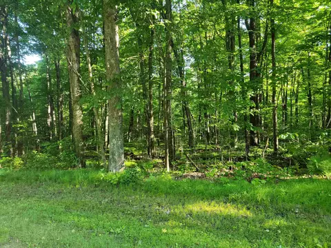 On Kentwoods Road, Bryant, WI 54418