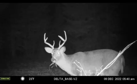 30 Acres Peterson Rd, Antigo, WI 54409