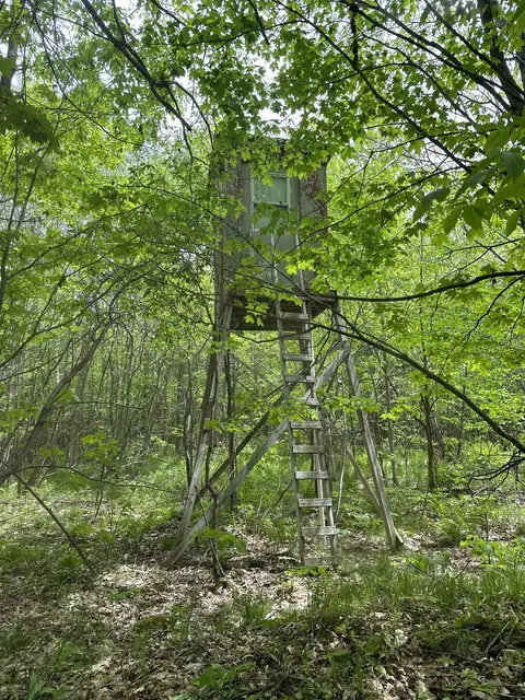 Forest Road 503, Phillips, WI 54555 photo 3