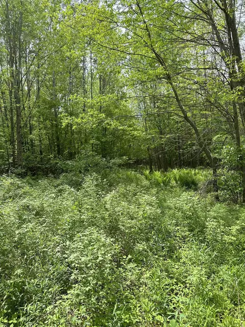 Forest Road 503, Phillips, WI 54555 photo 4