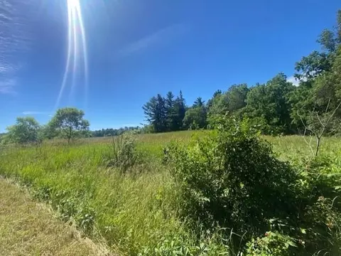 lot1 Deer Rd, Custer, WI 54423