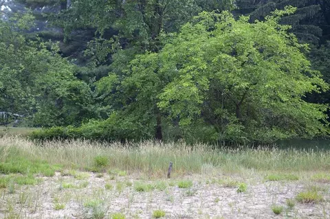 1601 16th Ct, Arkdale, WI 54613