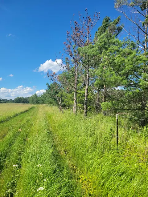 9 24 Acres County Road O, Junction City, WI 54443