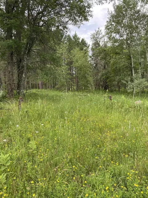 030-01102 0000 Aspen Ave, Nekoosa, WI 54457