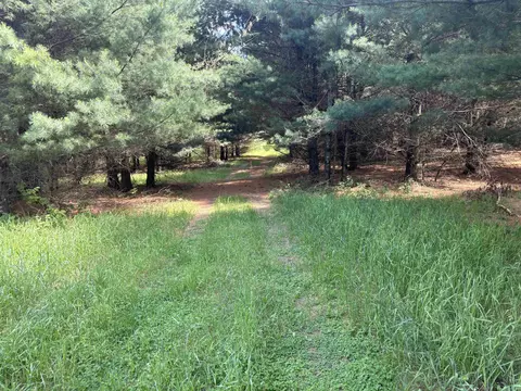 lot3 Bentley Rd, Custer, WI 54423