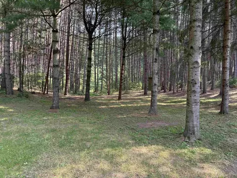Exterior - 10386 Forest Rd, Tomahawk, WI 54487 photo 12 of 12