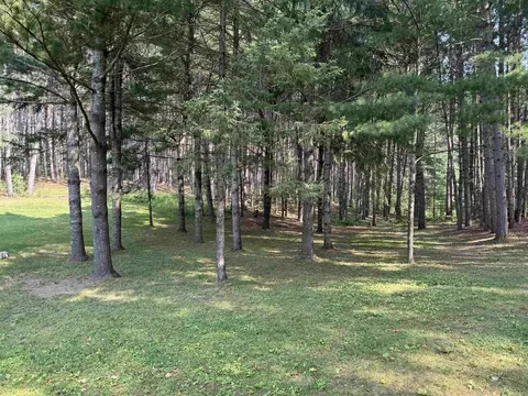 Exterior - 10386 Forest Rd, Tomahawk, WI 54487 photo 10 of 12