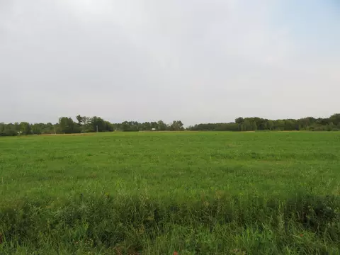 0 Pineview Rd, Neillsville, WI 54456