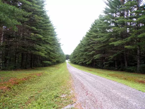 w7136 Mohr Road, Neillsville, WI 54456