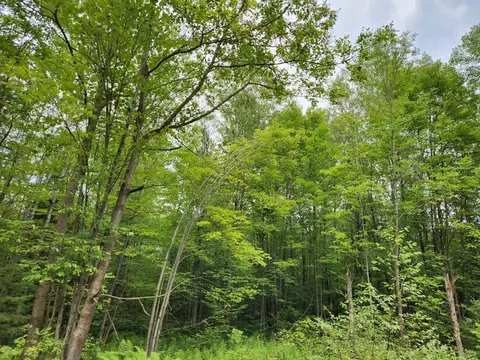 Hagar City Road, Merrill, WI 54452
