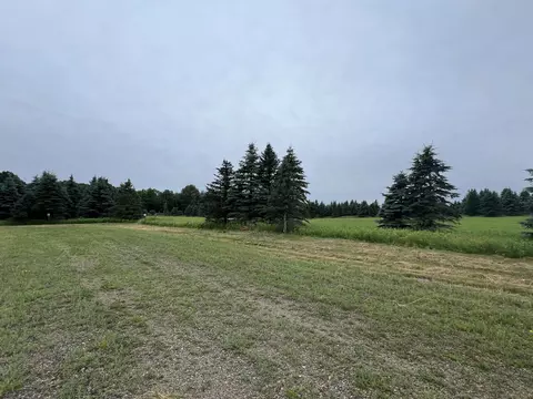 lot8 Sue Alan Dr, Wittenberg, WI 54499