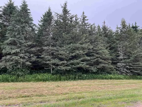 lot5 Sue Alan Dr, Wittenberg, WI 54499