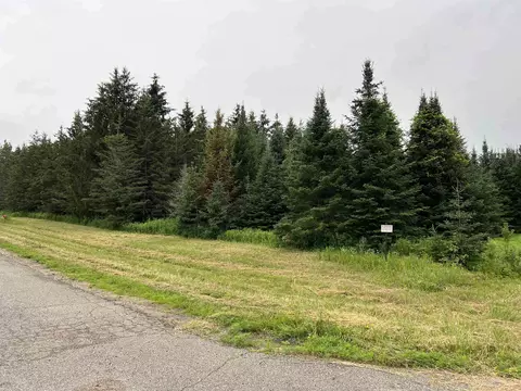 lot3 Sue Alan Dr, Wittenberg, WI 54499