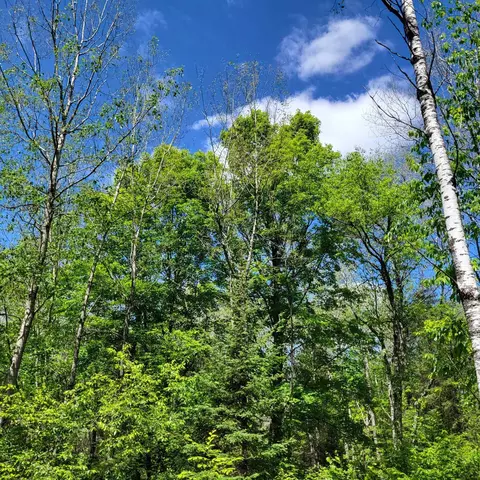 lot2 Peshtigo River Rd, Blackwell, WI 54125