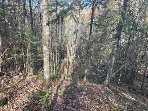 Wagner Vogt Road, Butternut, WI 54514