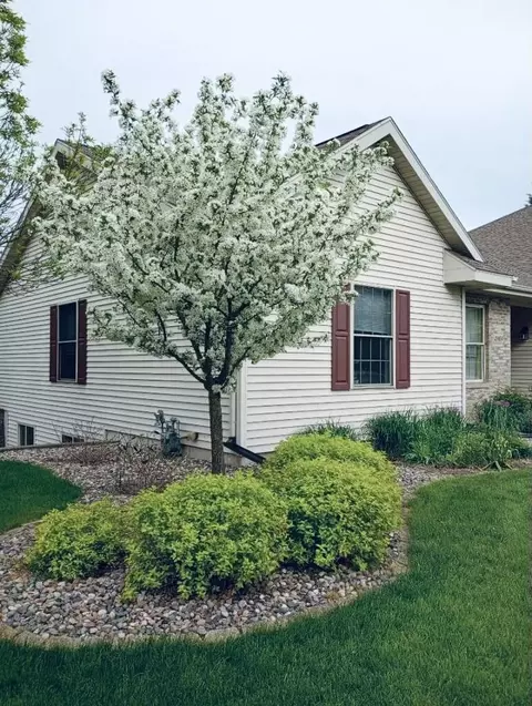 4909 River Bend Rd, Weston, WI 54476 photo 3