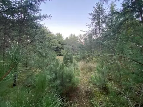 3 43 Acres Jordan Rd, Stevens Point, WI 54482