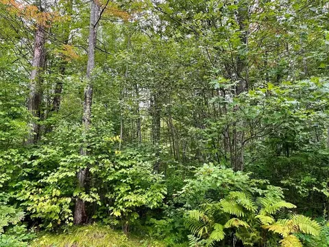 5 35 Acres Woodboro Heights Rd, Rhinelander, WI 54501