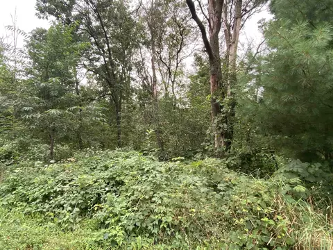 1808 Birchwood Ave, Stevens Point, WI 54482