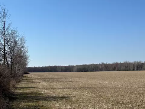 102 Acres Fir Grove Rd, Athens, WI 54411
