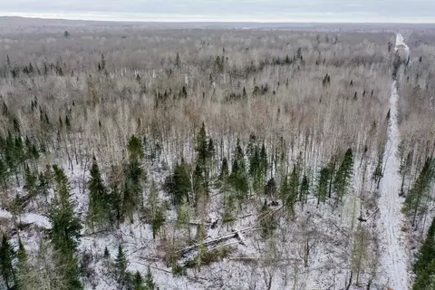 74 86 Acres Johnson Ave, Westboro, WI 54490