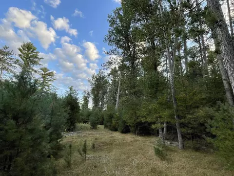 lot9 Townline Rd, Wisconsin Rapids, WI 54494
