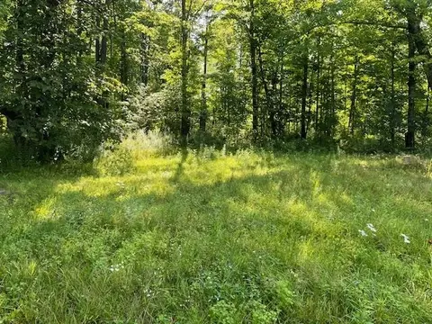 n9061 Schmidt Drive, Pickerel, WI 54465