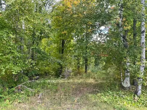 On Schmidt Drive, Pickerel, WI 54465