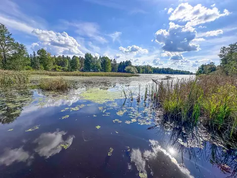View/Area - n8633 East Wilson Flowage Road, Phillips, WI 54555 photo 4 of 5