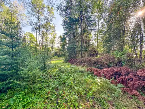Exterior - n8633 East Wilson Flowage Road, Phillips, WI 54555 photo 13 of 19