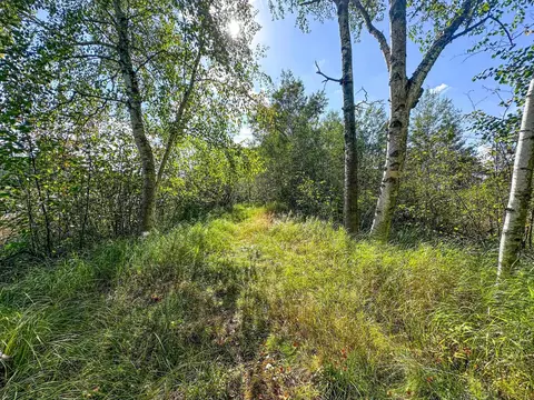 Exterior - n8633 East Wilson Flowage Road, Phillips, WI 54555 photo 9 of 19