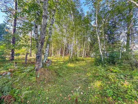 Exterior - n8633 East Wilson Flowage Road, Phillips, WI 54555 photo 12 of 19