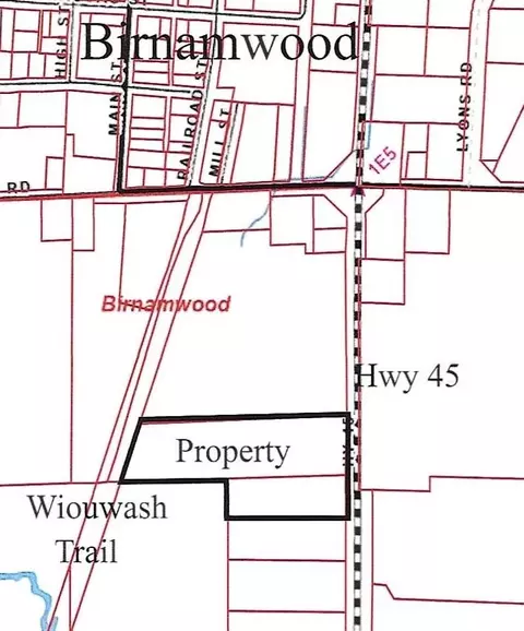 00 State Highway 45, Birnamwood, WI 54414