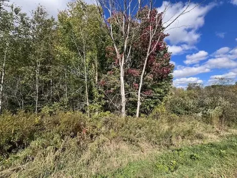 28 84 Acres County Road P, Marathon, WI 54448