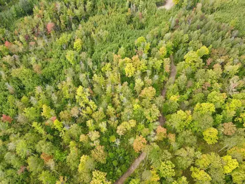 lot3 Grundy Rd, Tomahawk, WI 54487
