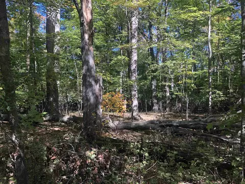 0000 Camp 26 Rd, Merrill, WI 54452