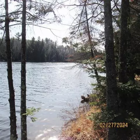 25 8 Acres Adams Ln, Tomahawk, WI 54487